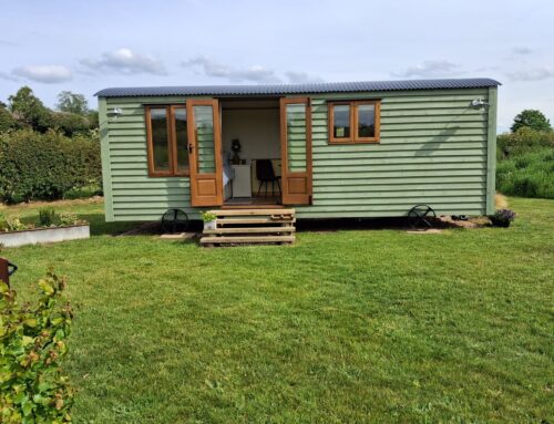 The Hedgerow Hide Shepherds Hut